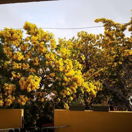 Appartement Proche Mer Avec Terrasse Et Jardin Privatif Ιέρ Εξωτερικό φωτογραφία